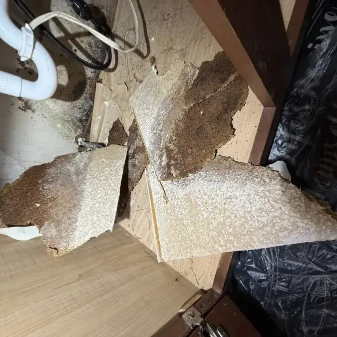 Removed swollen cabinet panels expose the plumbing beneath a water damaged sink