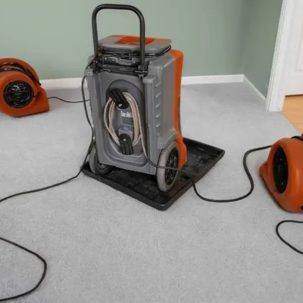 An orange dehumidifier and several air movers stand on a room's carpeted floor
