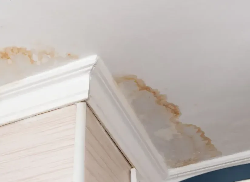 Brown water marks across a ceiling corner above white crown molding